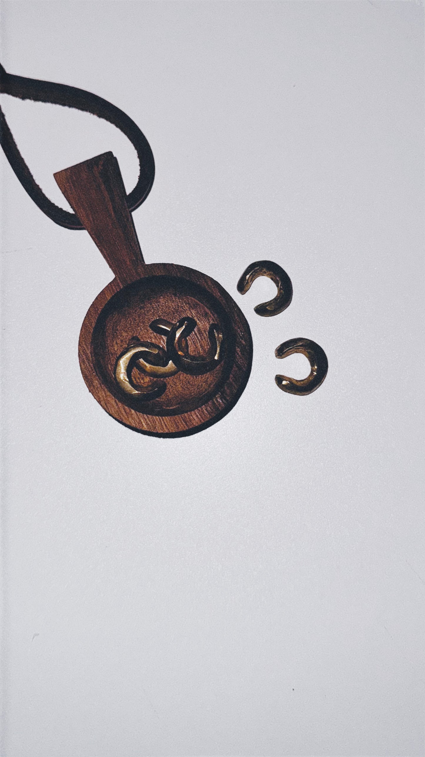 BRINCO EAR CUFF ORGANICAL