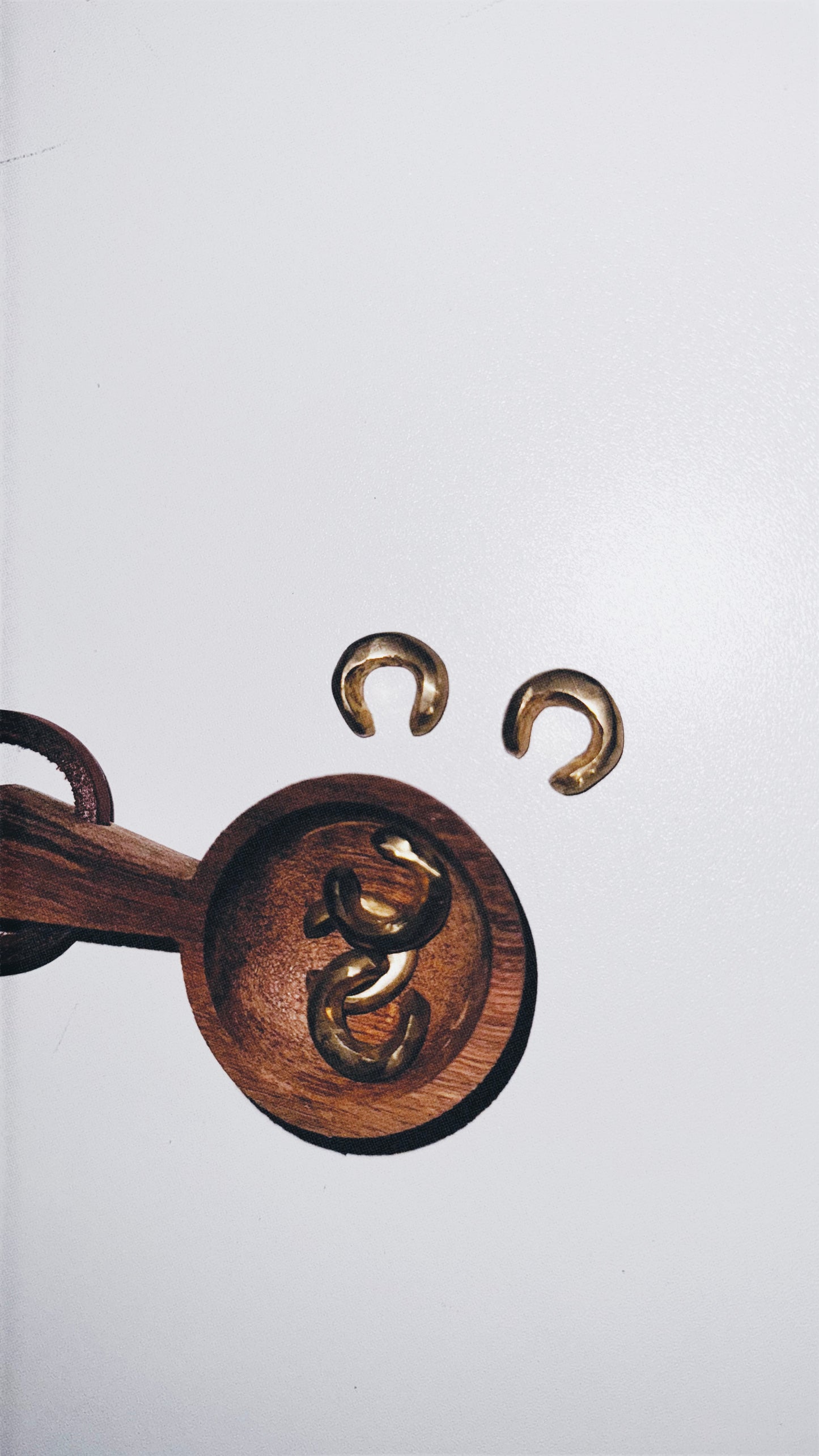BRINCO EAR CUFF ORGANICAL