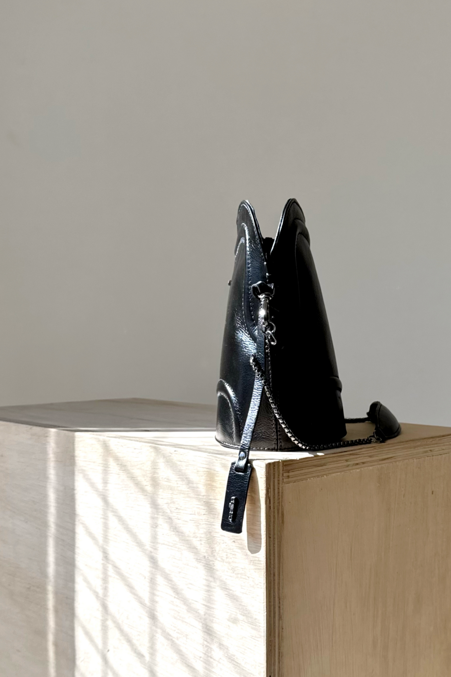 BOLSA LINHAS - carvão